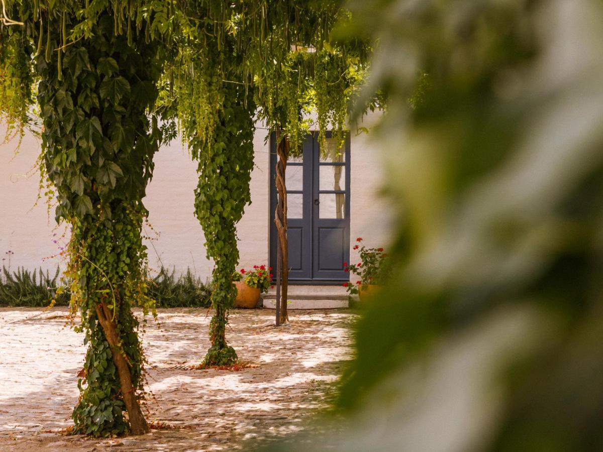 Sao Lourenco Do Barrocal Monsaraz Dış mekan fotoğraf
