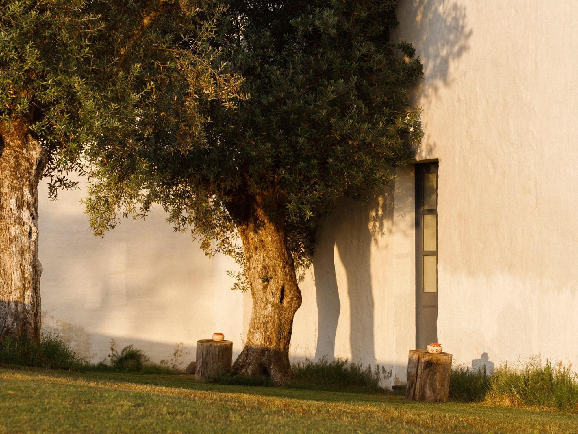 Sao Lourenco Do Barrocal Monsaraz Oda fotoğraf